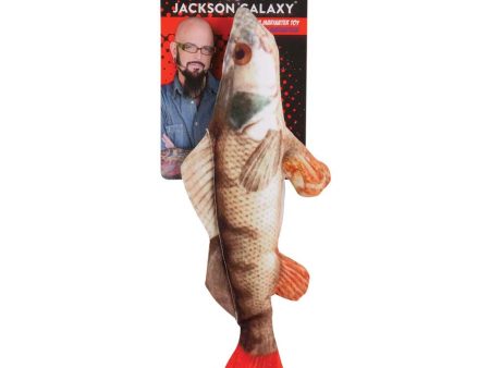 Jackson Galaxy Mega Marinater Photo Fish Catnip Toy Multi-Color 1ea LG on Sale