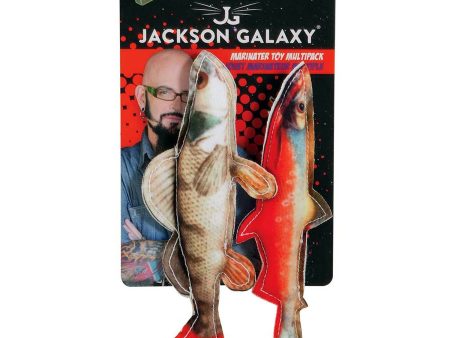 Jackson Galaxy Marinater Photo Fish Catnip Toy Multi-Color 1ea SM, 2 pk Online now