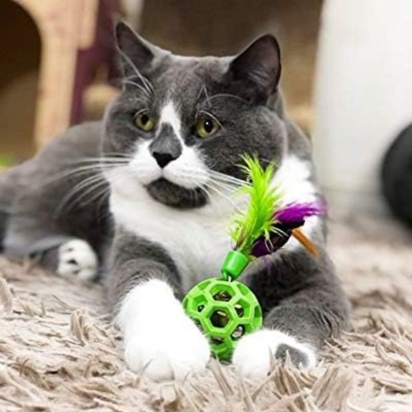 JW Pet Cataction Feather Ball with Bell Cat Toy Green 1ea One Size on Sale