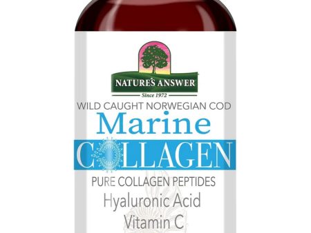 Nature s Answer, Marine Collagen, Norwegian Cod Liquid, 8 fl oz Online