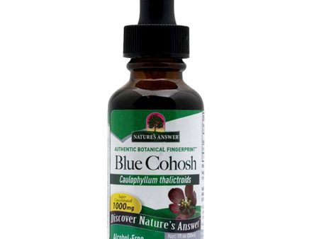 Nature s Answer, Blue Cohosh Alcohol Free Extract, 1 oz Hot on Sale