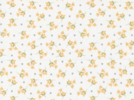 Buttercup & Slate by Corey Yoder for Moda - 529154-11 For Sale