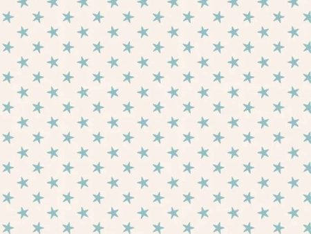 Basics by Tilda Fabrics - Tiny Star Light Blue 130038 Discount