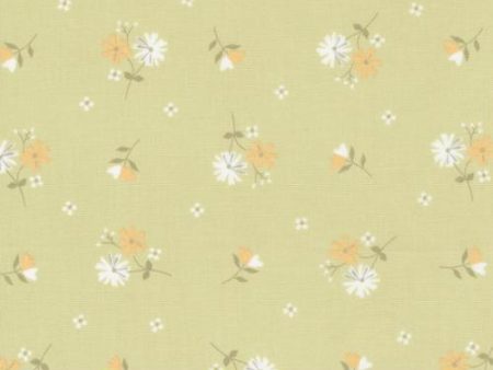 Buttercup & Slate by Corey Yoder for Moda - 529153-15 For Cheap