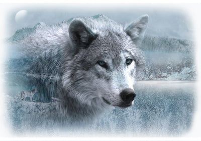 Call of the Wild Digital Print - Frost (wolf) Online now