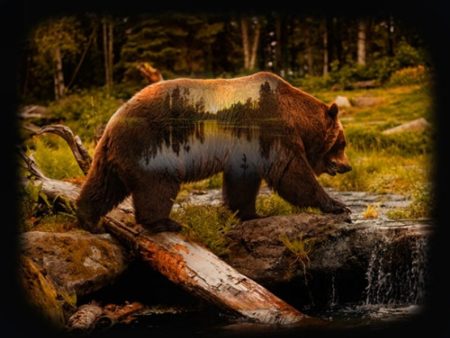 Call of The Wild by Hoffman Panel - Grizzly 25270-260 Sale