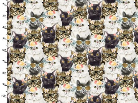 3 Wishes Fabric - Everyday is Caturday For Cheap